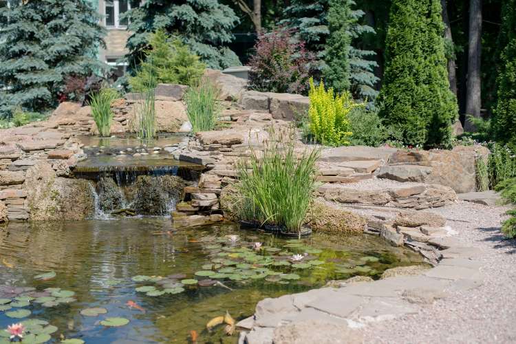 #2 - Ustvarite svoj zenovski vrt