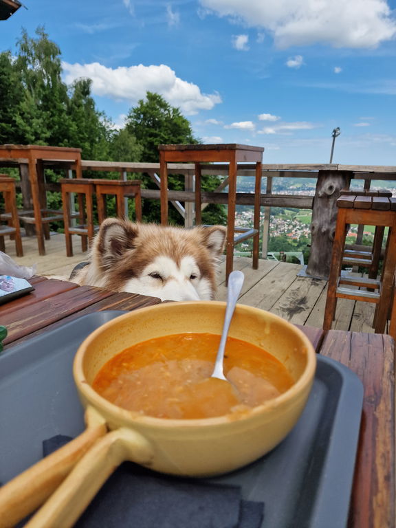 #6 - RED DAY: En pohod, veliko dobrega dela