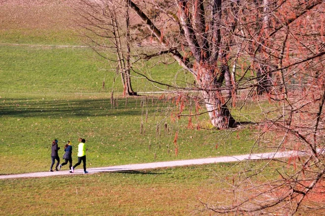 #3 - Dom kot tabletka za zmanjševanje stresa #3 - Dom kot tabletka za zmanjševanje stresa