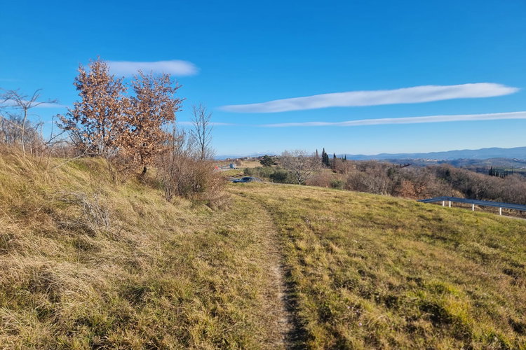 Location: Obalno - kraška, Izola, Malija