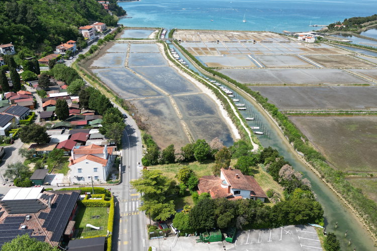 Location: Obalno - kraška, Piran, Strunjan