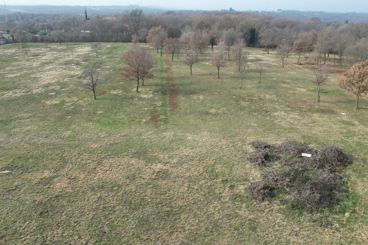 Location: Hrvaška, Istarska županija, Buje, Kaštel