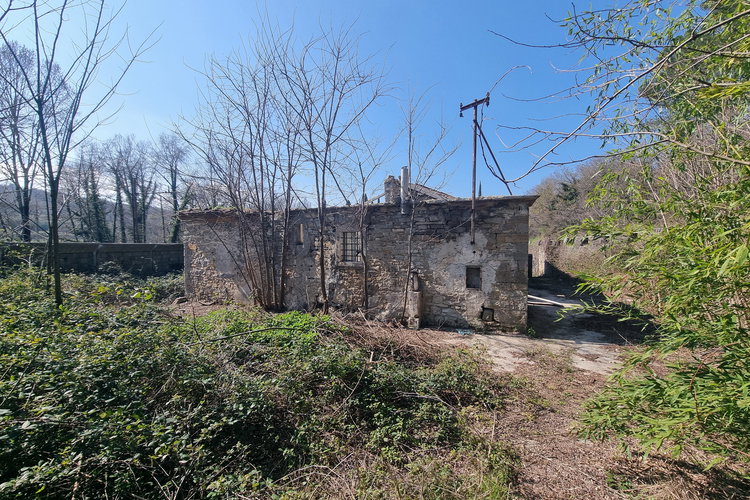 Location: Obalno - kraška, Koper, Dekani