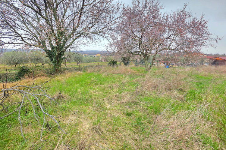 Location: Obalno - kraška, Koper, Sveti Anton