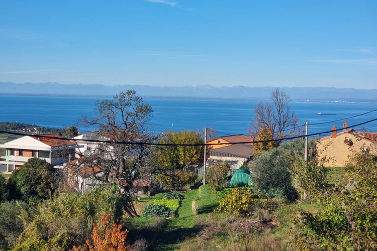 Lokacija: Obalno - kraška, Izola, Šared