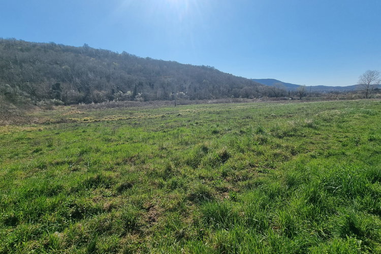 Location: Obalno - kraška, Koper, Vanganel
