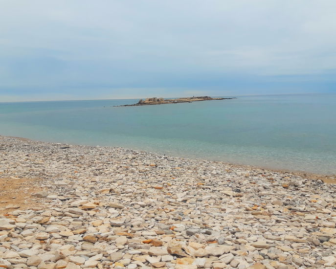 Lokacija: , Umag