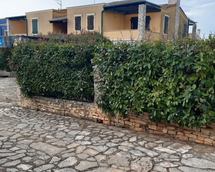 Lokacija: , Umag