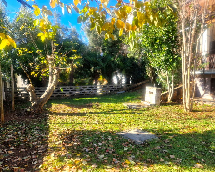 Lokacija: Hrvaška, Istarska županija, Zambratija