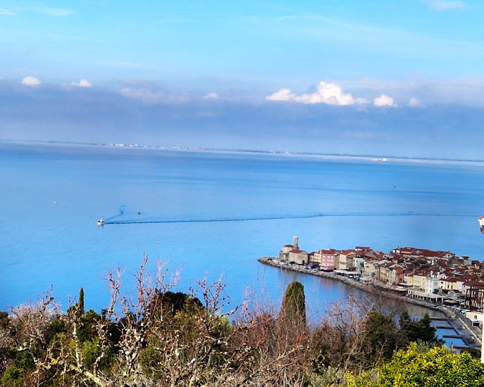 Lokacija: Obalno - kraška, Piran, Piran/Pirano