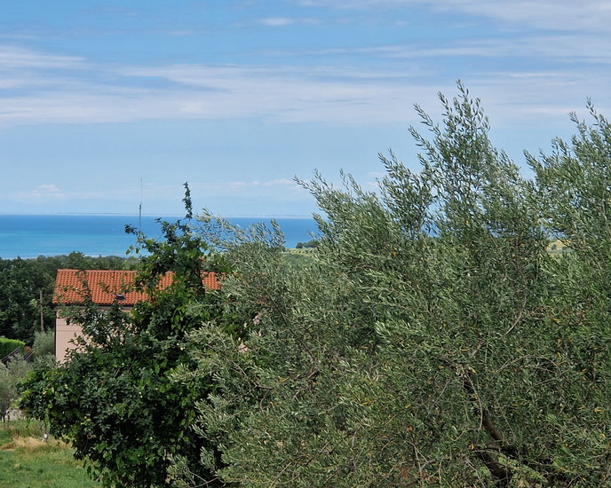 Lokacija: Obalno - kraška, Piran, Sv. Peter