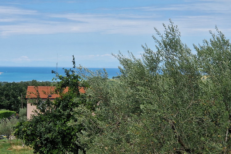 Lokacija: Obalno - kraška, Piran, Sv. Peter