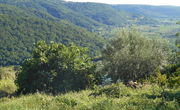 Lokacija: Obalno - kraška, Piran, Padna