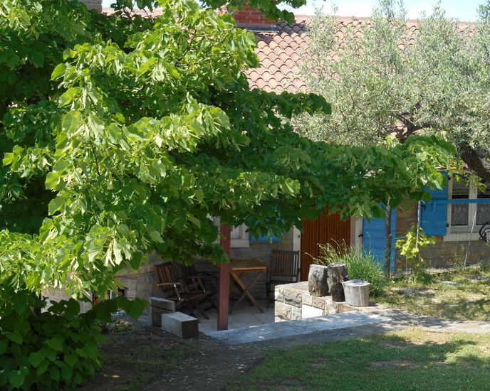 Location: Coastal-Karst, Izola, Malija