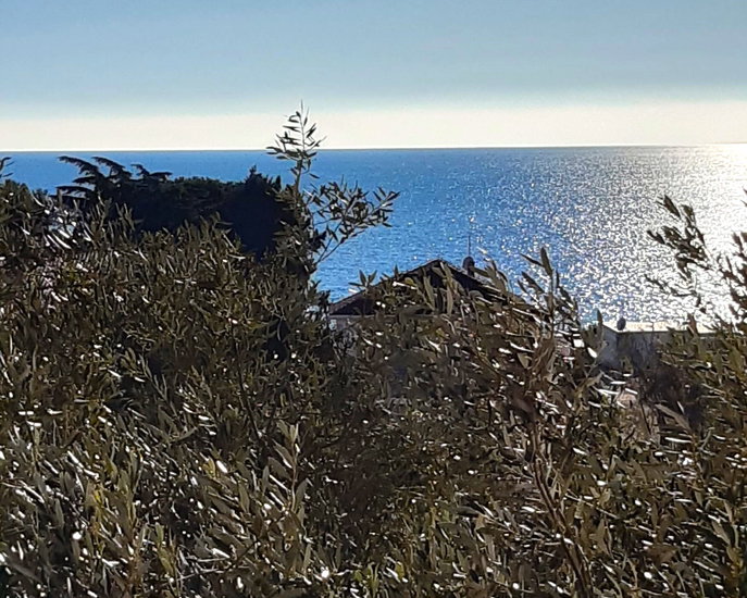 Lokacija: Hrvaška, Istarska županija, Zambratija