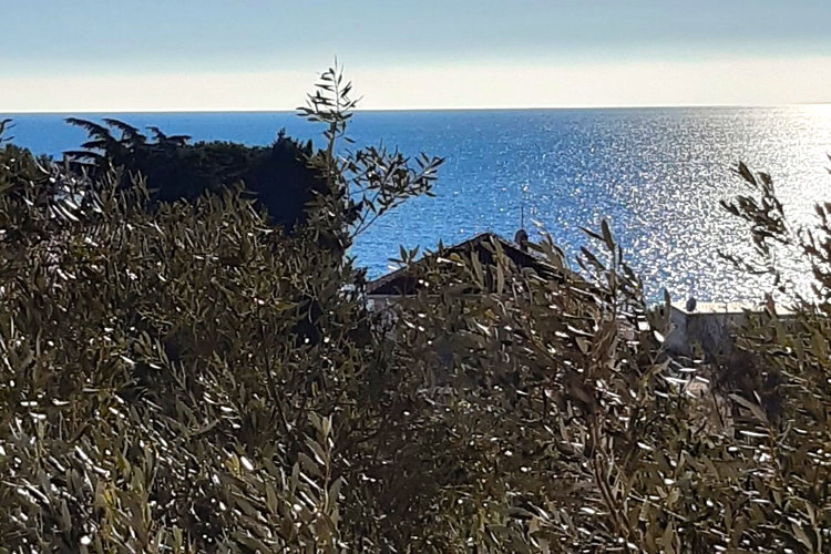 Location: Hrvaška, Istarska županija, Umag