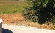 Lokacija: Hrvaška, Istarska županija, Umag