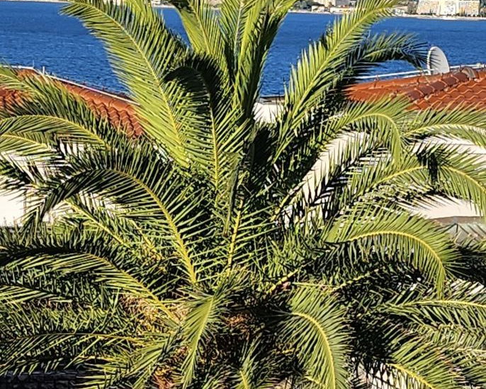 Lokacija: Hrvaška, Istarska županija, Savudrija