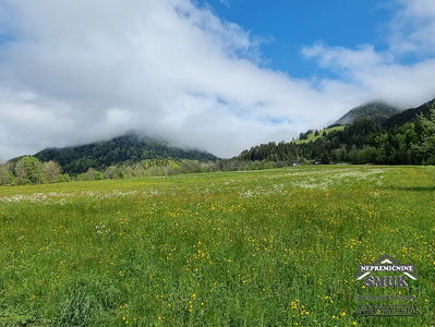 Lokacija: Gorenjska, Kranjska Gora, Podkoren
