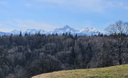 Lokacija: Gorenjska, Radovljica, Slatna