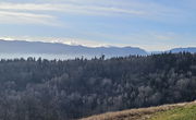 Lokacija: Gorenjska, Radovljica, Slatna