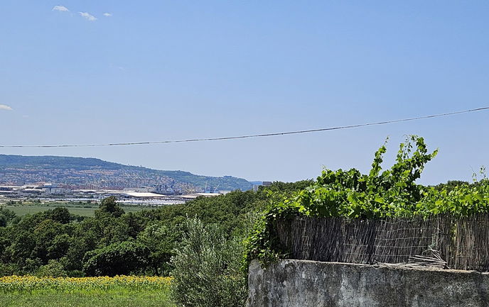 Lokacija: Obalno - kraška, Koper, Spodnje Škofije