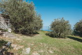 Location: Coastal-Karst, Izola, Jagodje