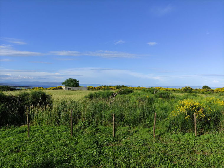 Lokacija: Hrvaška, Istarska županija, Ližnjan
