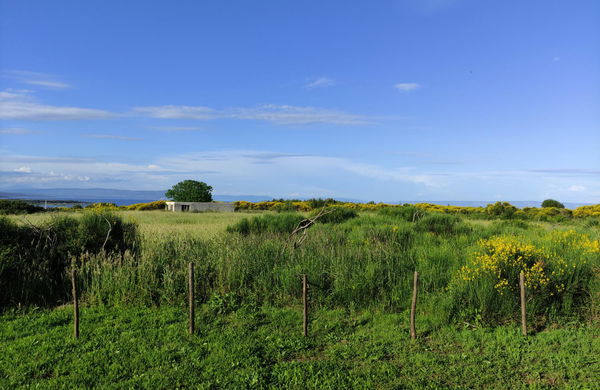 Lokacija: Hrvaška, Ližnjan