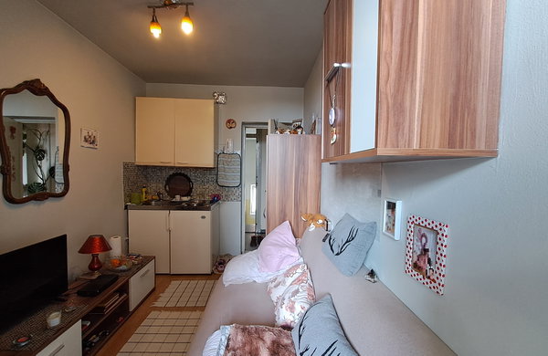 Lokacija: Ljubljana mesto, Center