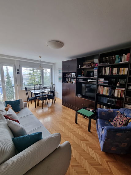 Lokacija: Ljubljana mesto, Moste-Polje, Zelena jama