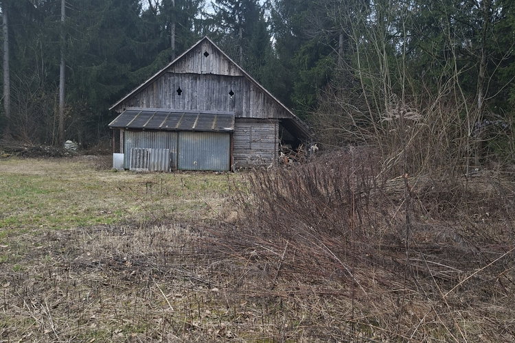 Location: Ljubljana okolica, Dobrova - Polhov Gradec, Dobrova