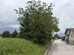 Lokacija: Ljubljana mesto, Moste-Polje, Bizovik