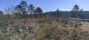 Location: Coastal-Karst, Sežana, Avber
