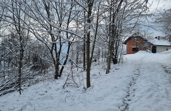Lokacija: Ljubljana okolica, Dobrova - Polhov Gradec, Osredek pri Dobrovi