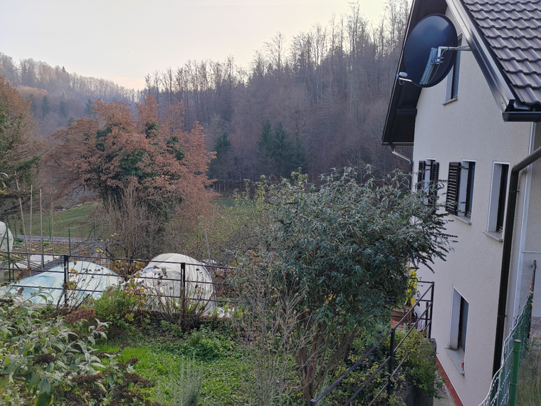 Lokacija: Ljubljana okolica, Domžale, Žeje