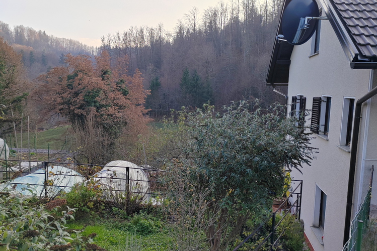 Lokacija: Ljubljana okolica, Domžale, Žeje