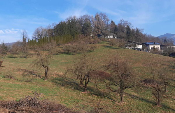 Lokacija: Zasavska, Zagorje ob Savi, Zagorje ob Savi