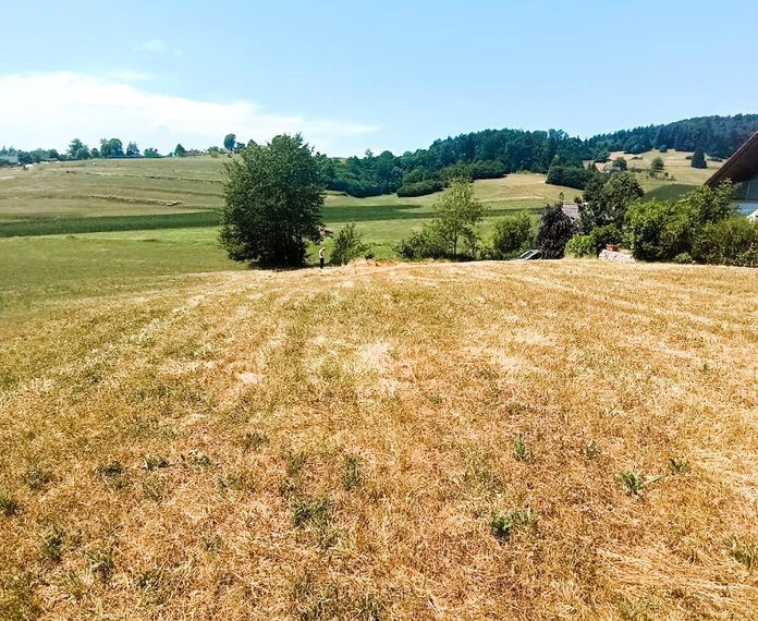 Lokacija: Ljubljana okolica, Grosuplje, Grosuplje