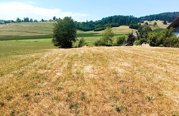 Lokacija: Ljubljana okolica, Grosuplje, Grosuplje