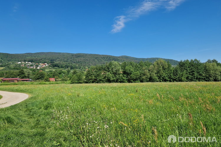 Location: Podravska, Hoče - Slivnica, Zgornje Hoče