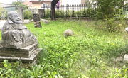 Location: Obalno - kraška, Izola, Jagodje