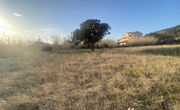 Location: , Rab, Barbat na Rabu