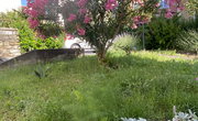 Location: Obalno - kraška, Izola, Center