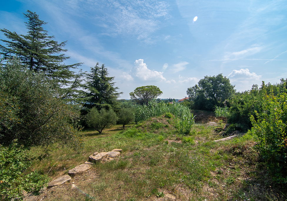 Lokacija: Obalno - kraška, Piran, Šentjane