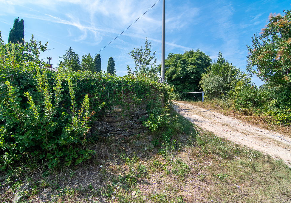 Lokacija: Obalno - kraška, Piran, Šentjane