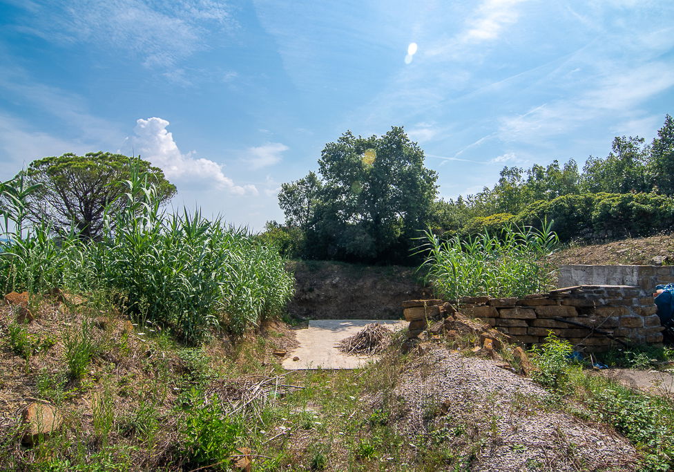 Lokacija: Obalno - kraška, Piran, Šentjane