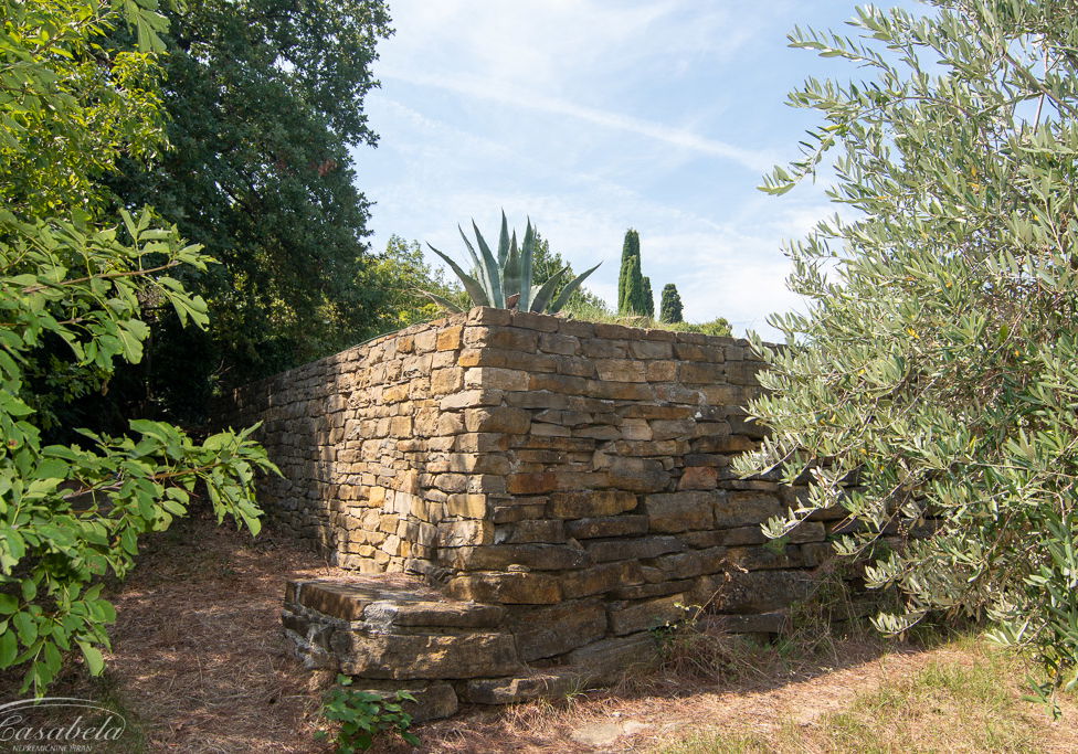 Lokacija: Obalno - kraška, Piran, Šentjane