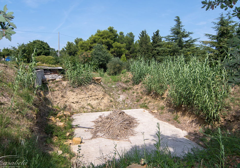 Lokacija: Obalno - kraška, Piran, Šentjane