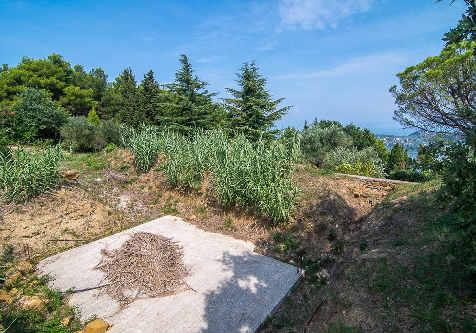 Lokacija: Obalno - kraška, Piran, Šentjane